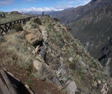Viewpoint Colca canyon
